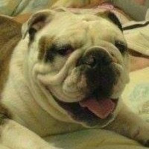 Meet your Posher, Arnold